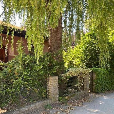 Gartenwohnung 5 Min. Zur Stadt Hagenau Dış mekan fotoğraf