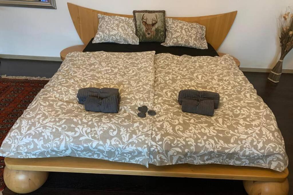 Gartenwohnung 5 Min. Zur Stadt Hagenau Dış mekan fotoğraf